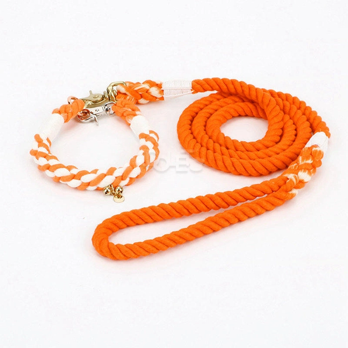 Rope Dog Collar and Leash